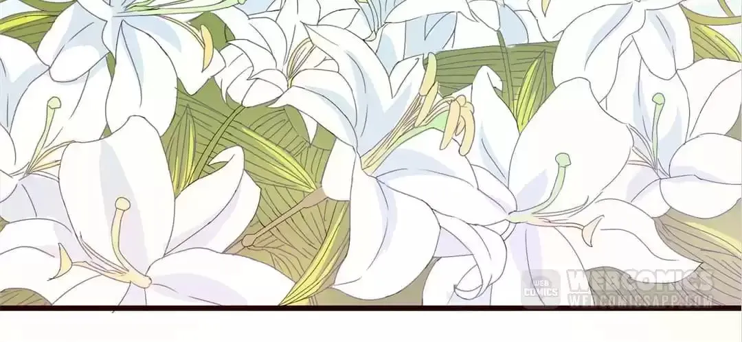 Read Delicate and Meek, Me? chapter 108 image 33 on Lezhin