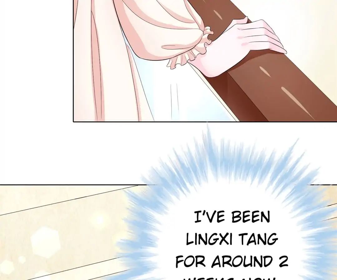 Read Delicate and Meek, Me? chapter 2 image 4 on Lezhin