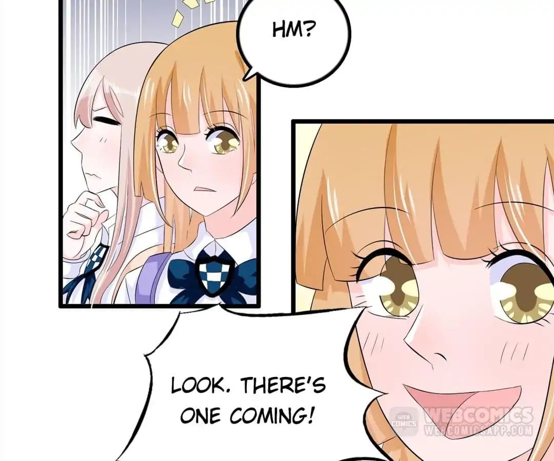 Read Delicate and Meek, Me? chapter 34 image 5 on Lezhin