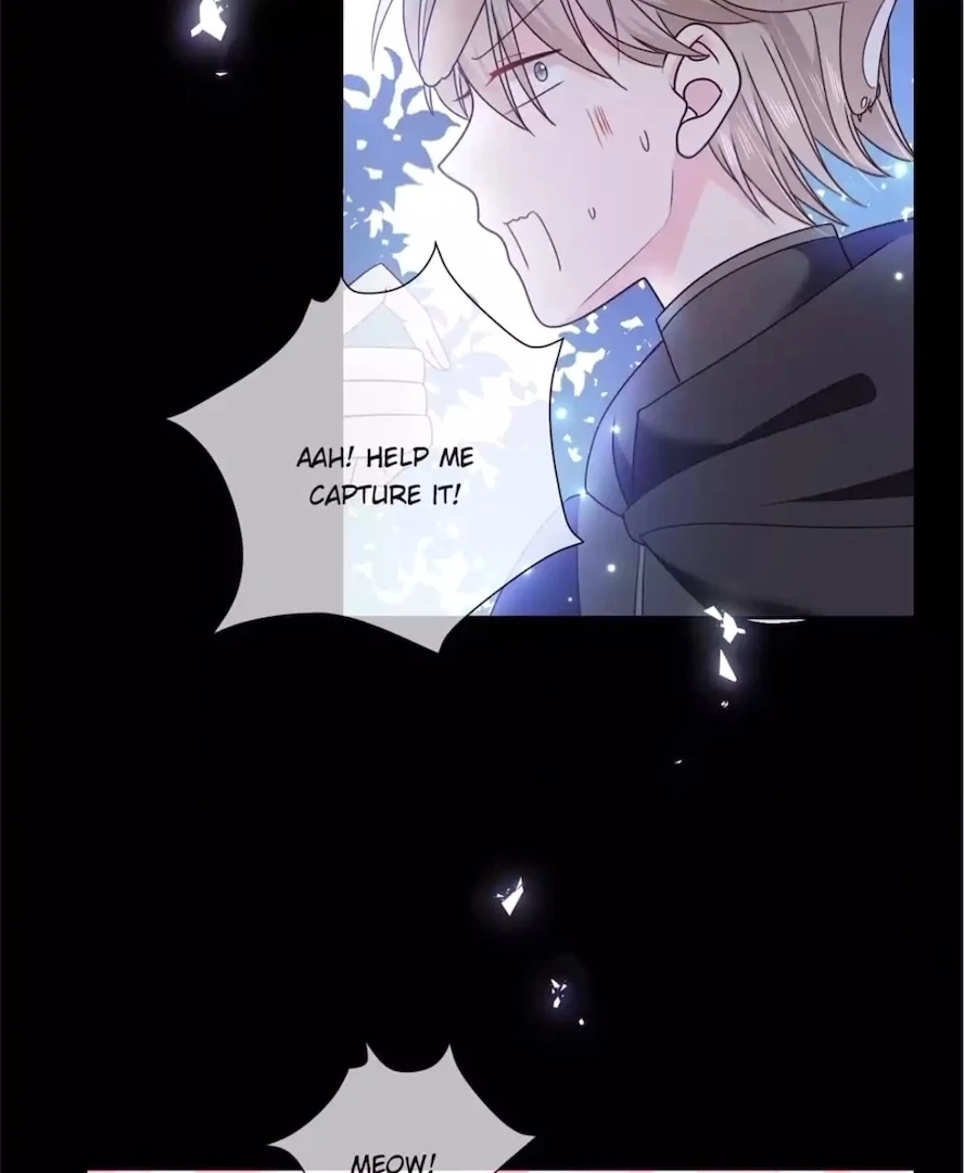 Read Demon, No Kissing! chapter 173 image 13 on Lezhin
