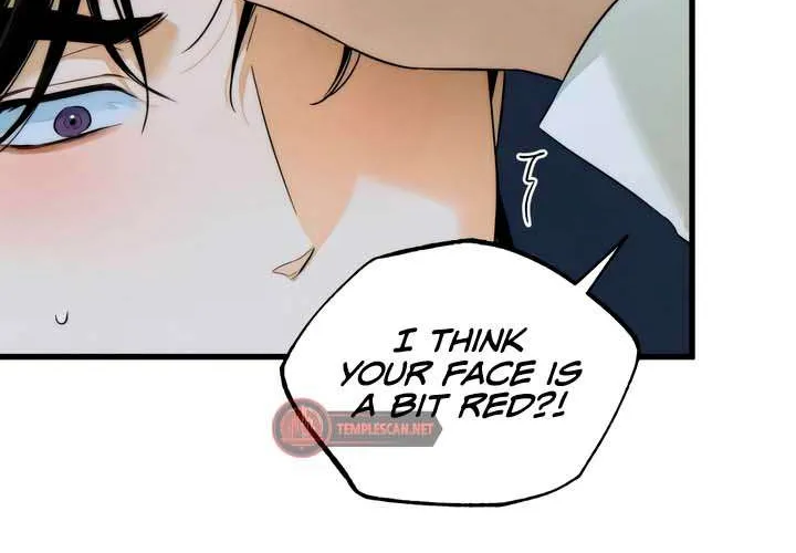 Demon’s Wish Chapter 32 page 45 - 