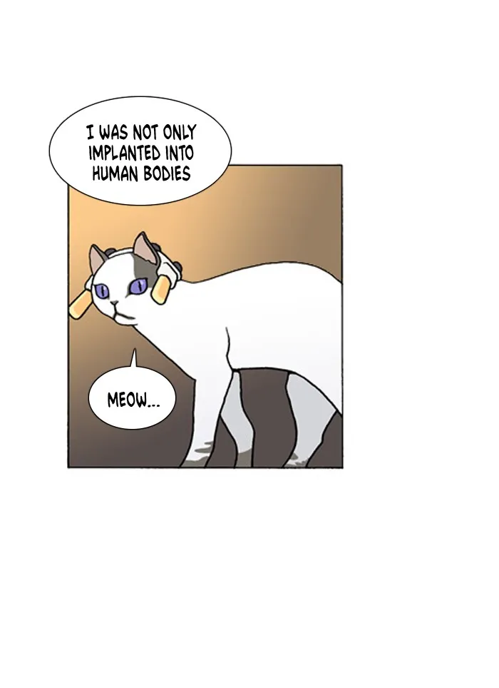 Read Denma chapter 248 image 20 on Lezhin