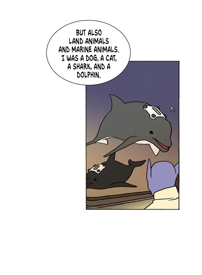 Read Denma chapter 248 image 21 on Lezhin