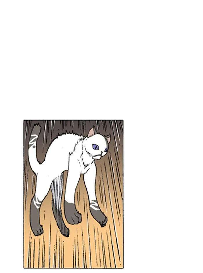 Read Denma chapter 253 image 12 on Lezhin