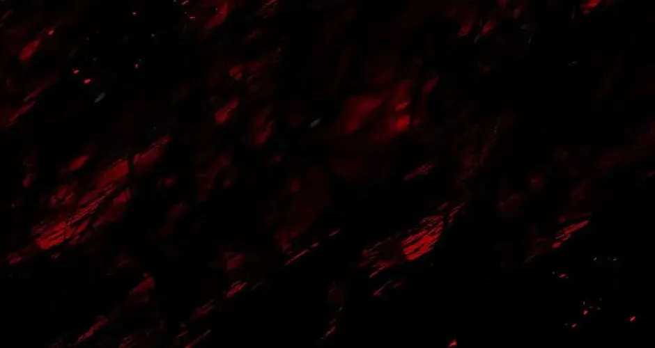 Descent of the Demon Master Chapter 131 page 158 - 