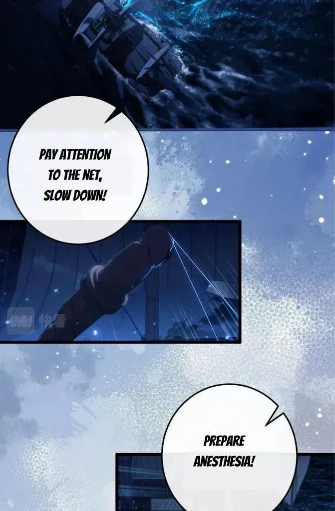 Read Desharow Merman chapter 1.2 image 25 on Lezhin