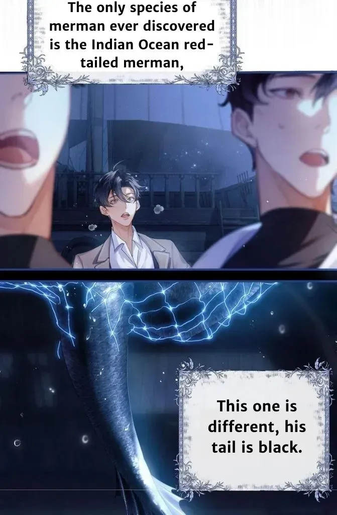 Read Desharow Merman chapter 1.2 image 27 on Lezhin