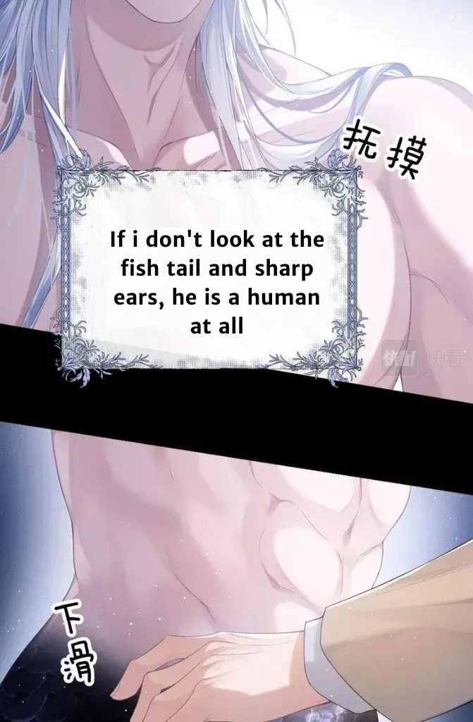Read Desharow Merman chapter 1.2 image 43 on Lezhin