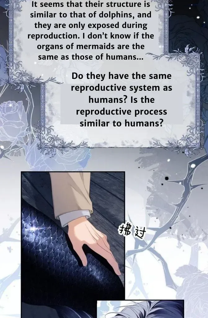 Read Desharow Merman chapter 1.2 image 47 on Lezhin