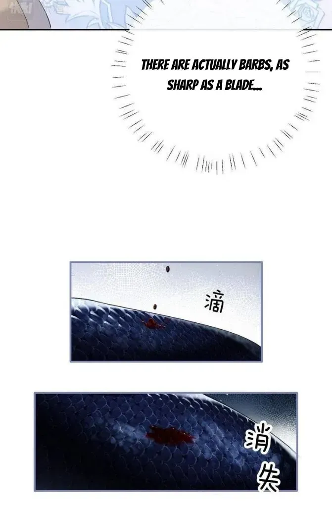 Read Desharow Merman chapter 1.2 image 49 on Lezhin