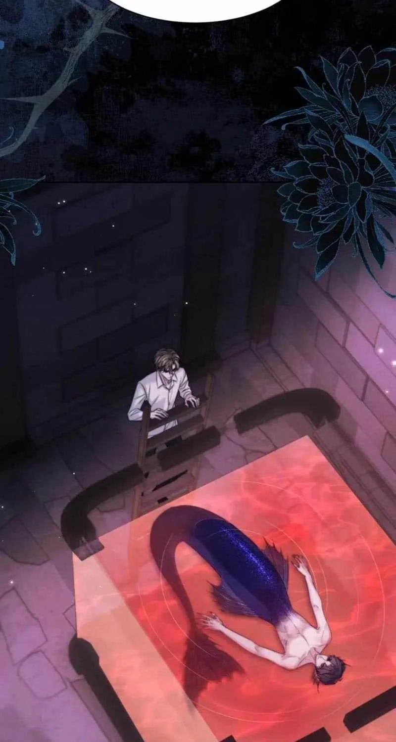 Read Desharow Merman chapter 110 image 34 on Lezhin