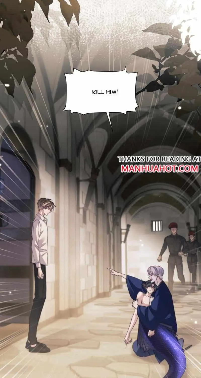 Read Desharow Merman chapter 113 image 13 on Lezhin