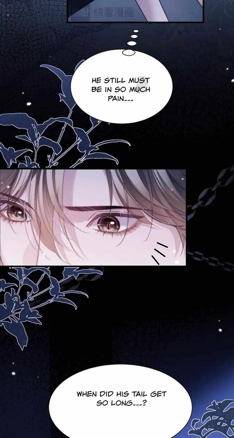 Read Desharow Merman chapter 116 image 6 on Lezhin