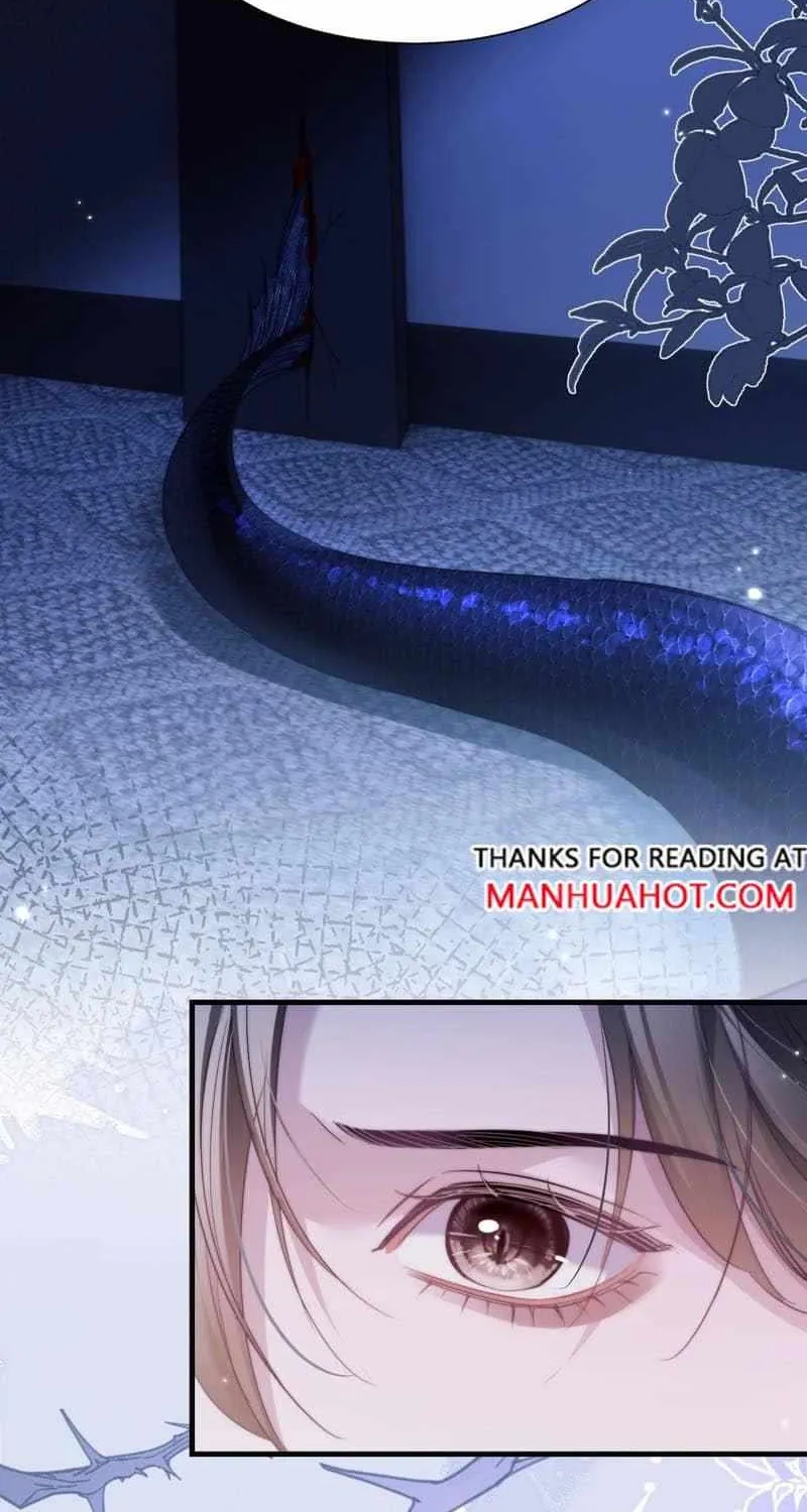 Read Desharow Merman chapter 116 image 7 on Lezhin