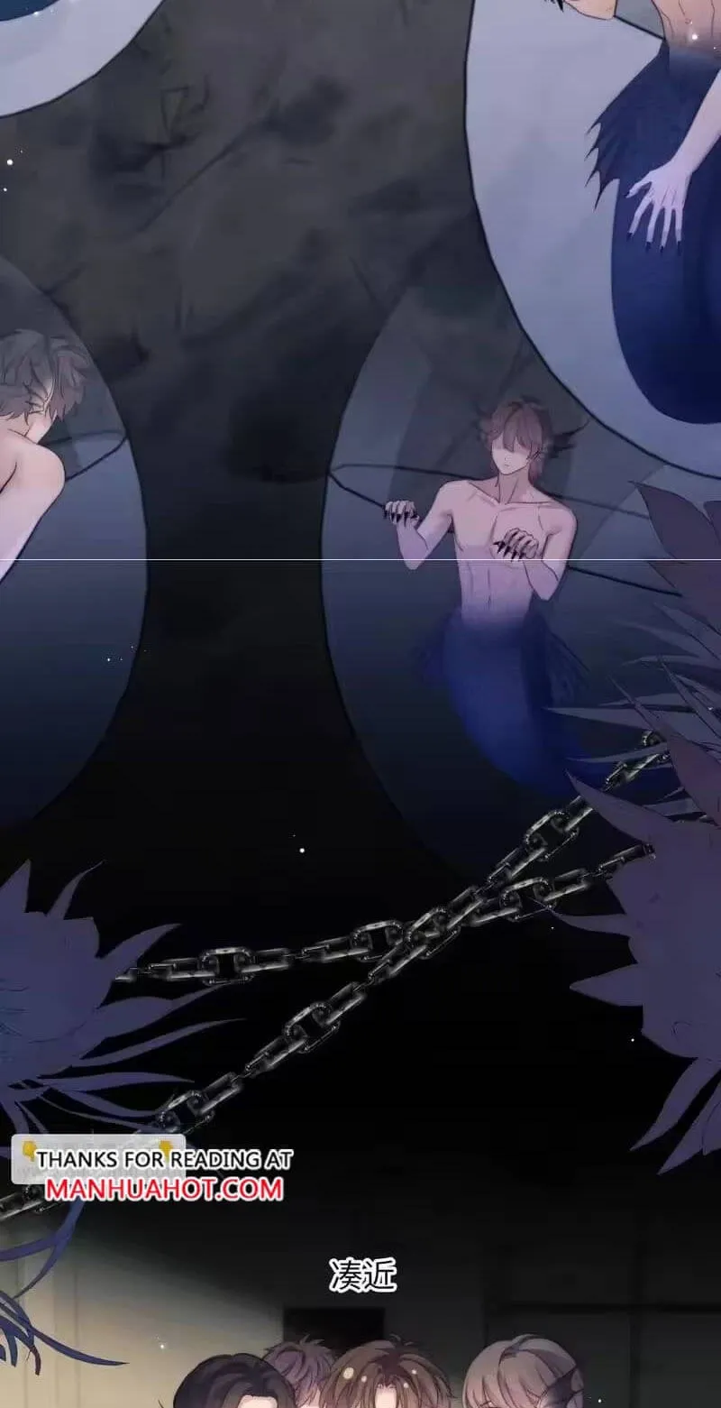 Read Desharow Merman chapter 136 image 11 on Lezhin