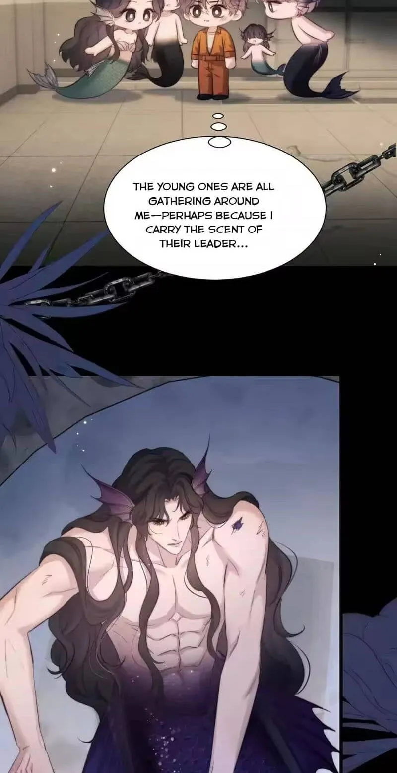 Read Desharow Merman chapter 136 image 12 on Lezhin