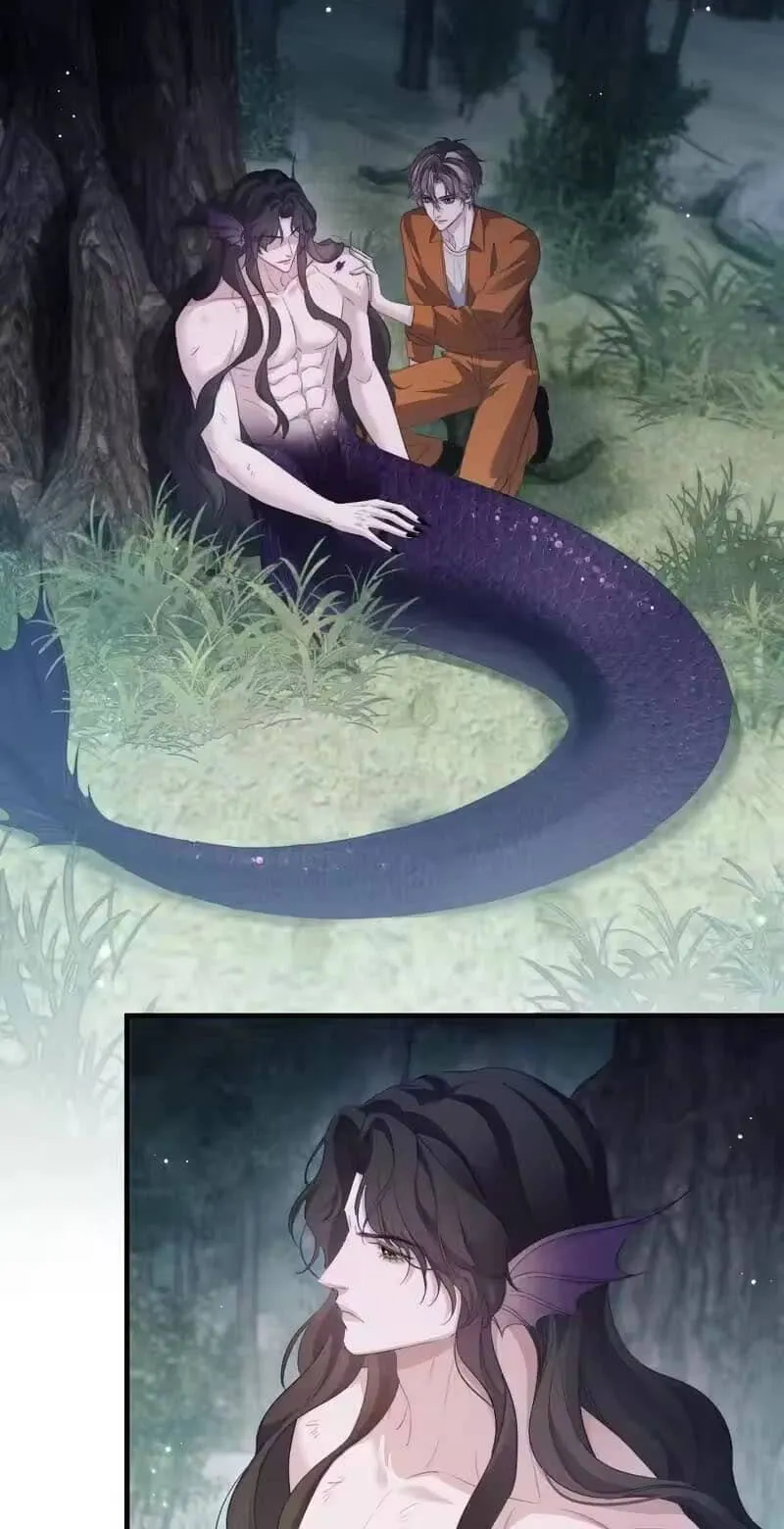 Read Desharow Merman chapter 136 image 18 on Lezhin