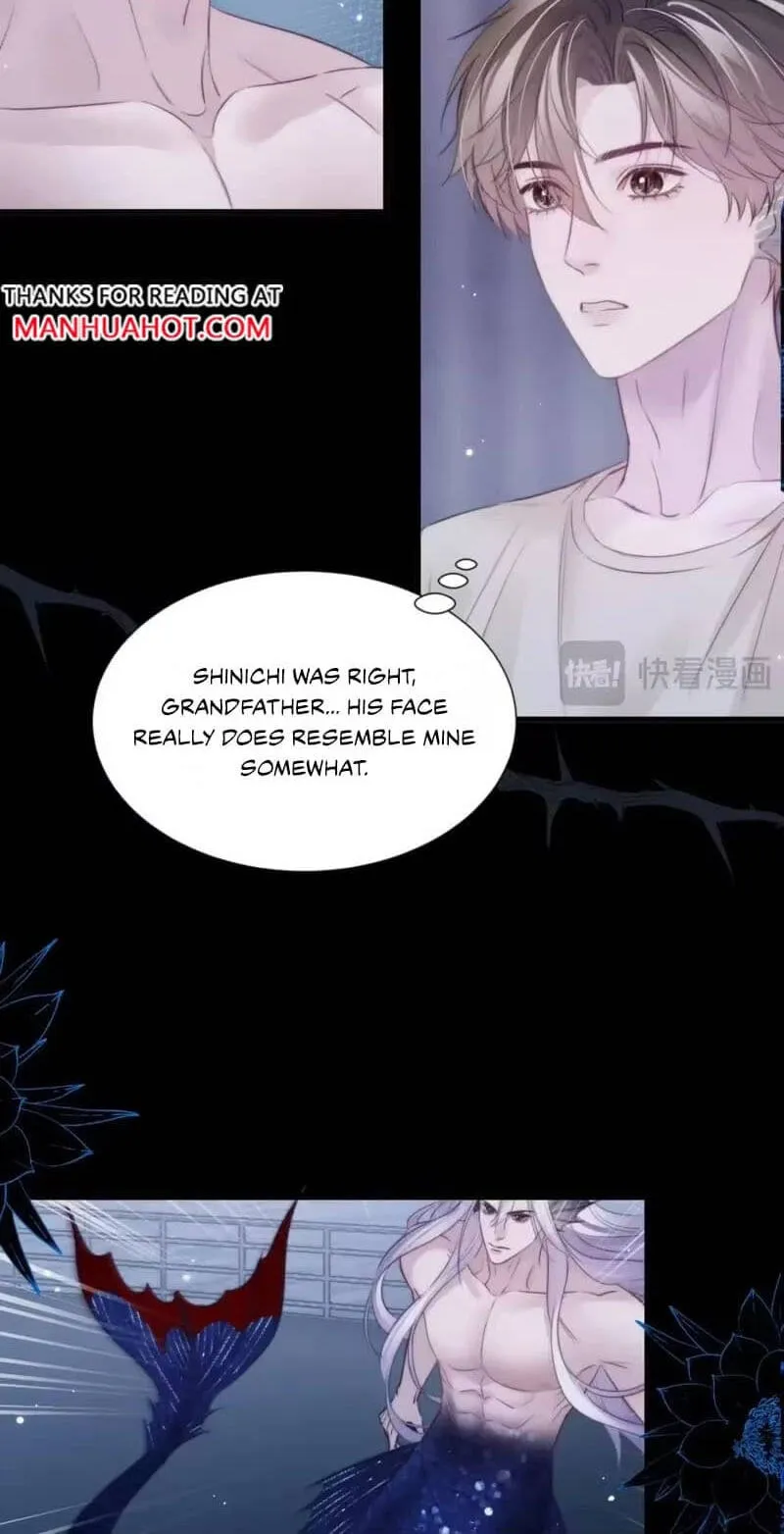 Read Desharow Merman chapter 146 image 19 on Lezhin