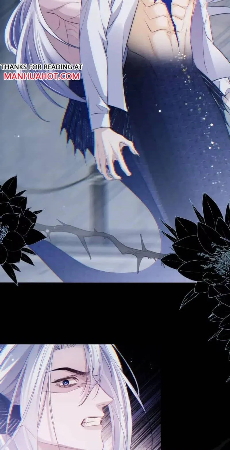 Read Desharow Merman chapter 147 image 24 on Lezhin