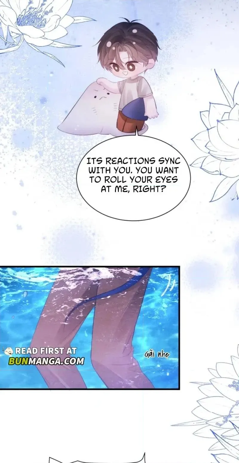 Read Desharow Merman chapter 157 image 29 on Lezhin