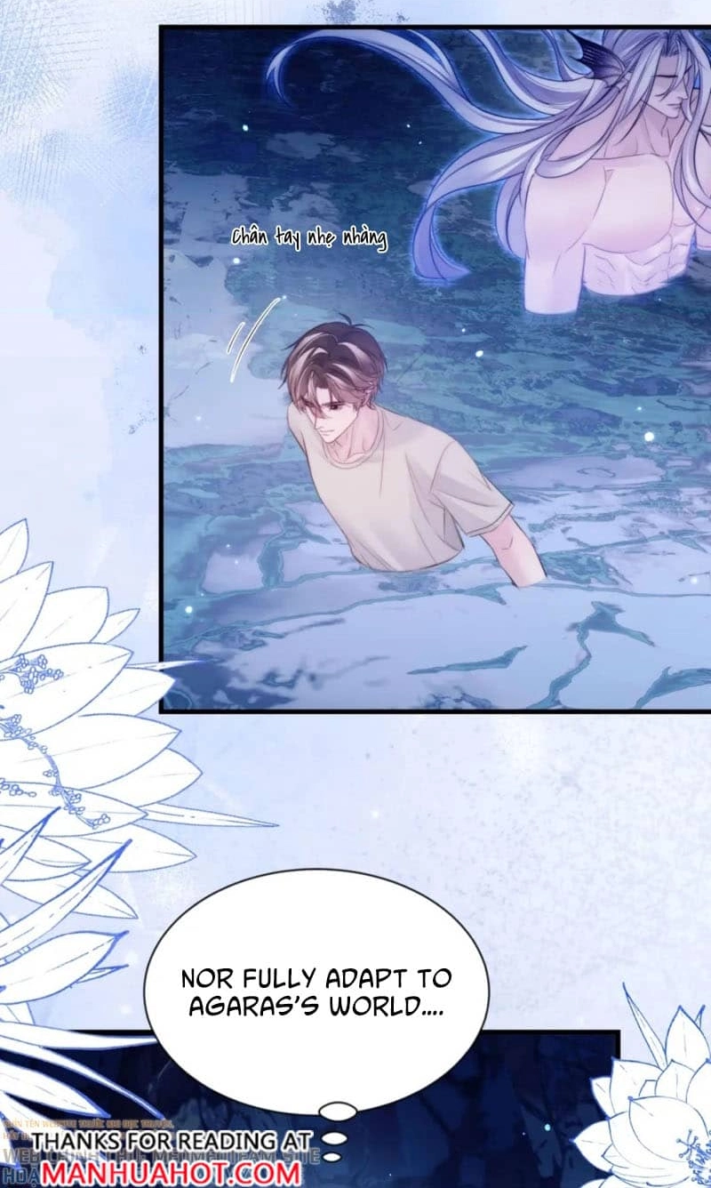 Read Desharow Merman chapter 157 image 5 on Lezhin