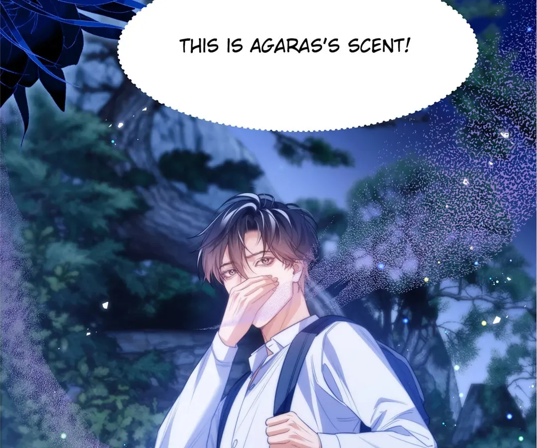 Read Desharow Merman chapter 62 image 1 on Lezhin
