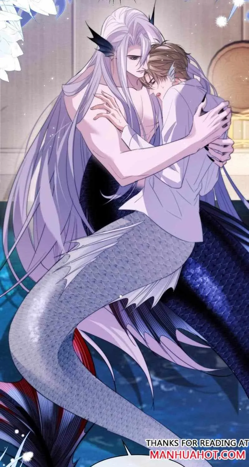 Read Desharow Merman chapter 91 image 20 on Lezhin