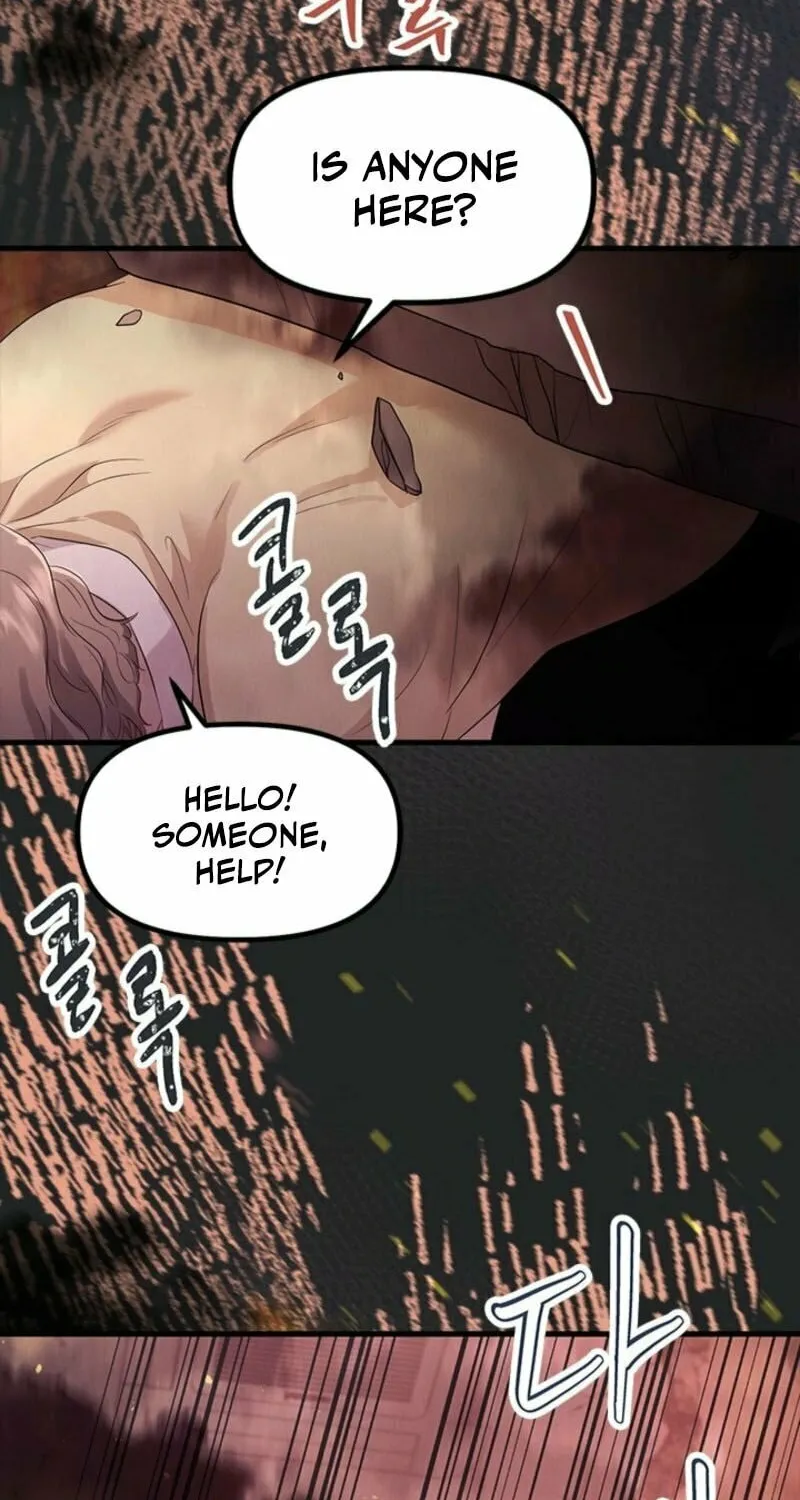 Desirable Partner Chapter 23 page 102 - 