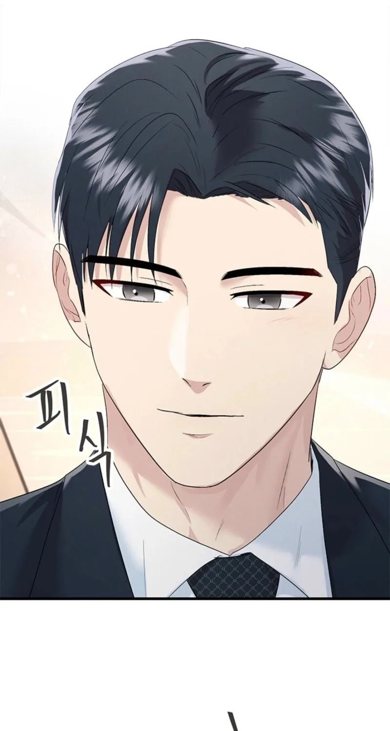 Desirable Partner Chapter 23 page 47 - 