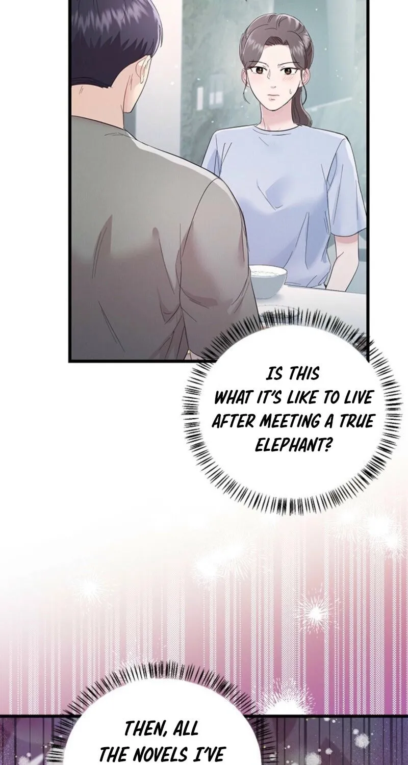 Desirable Partner Chapter 26 page 60 - 