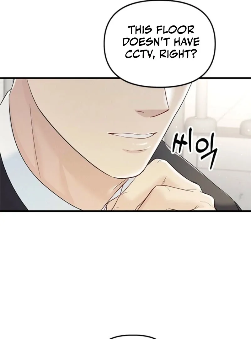 Read Desirable Partner chapter 34 image 65 on Lezhin