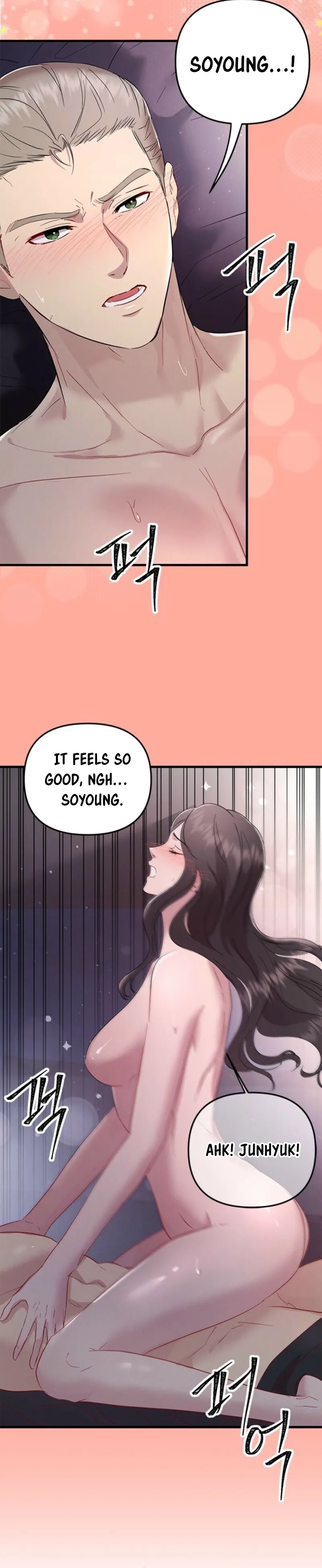Desirable Partner Chapter 8 page 17 - 