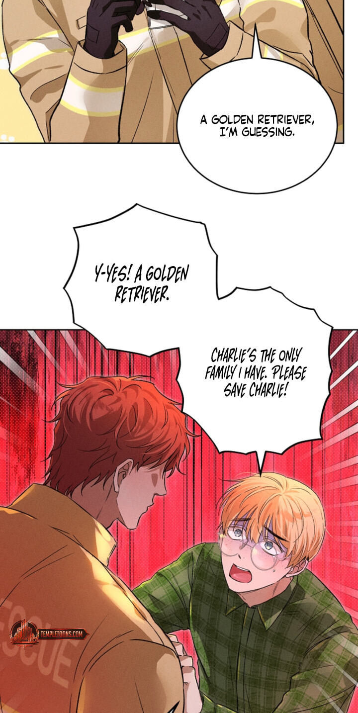 Read Desire Me if You Can chapter 13 image 12 on Lezhin