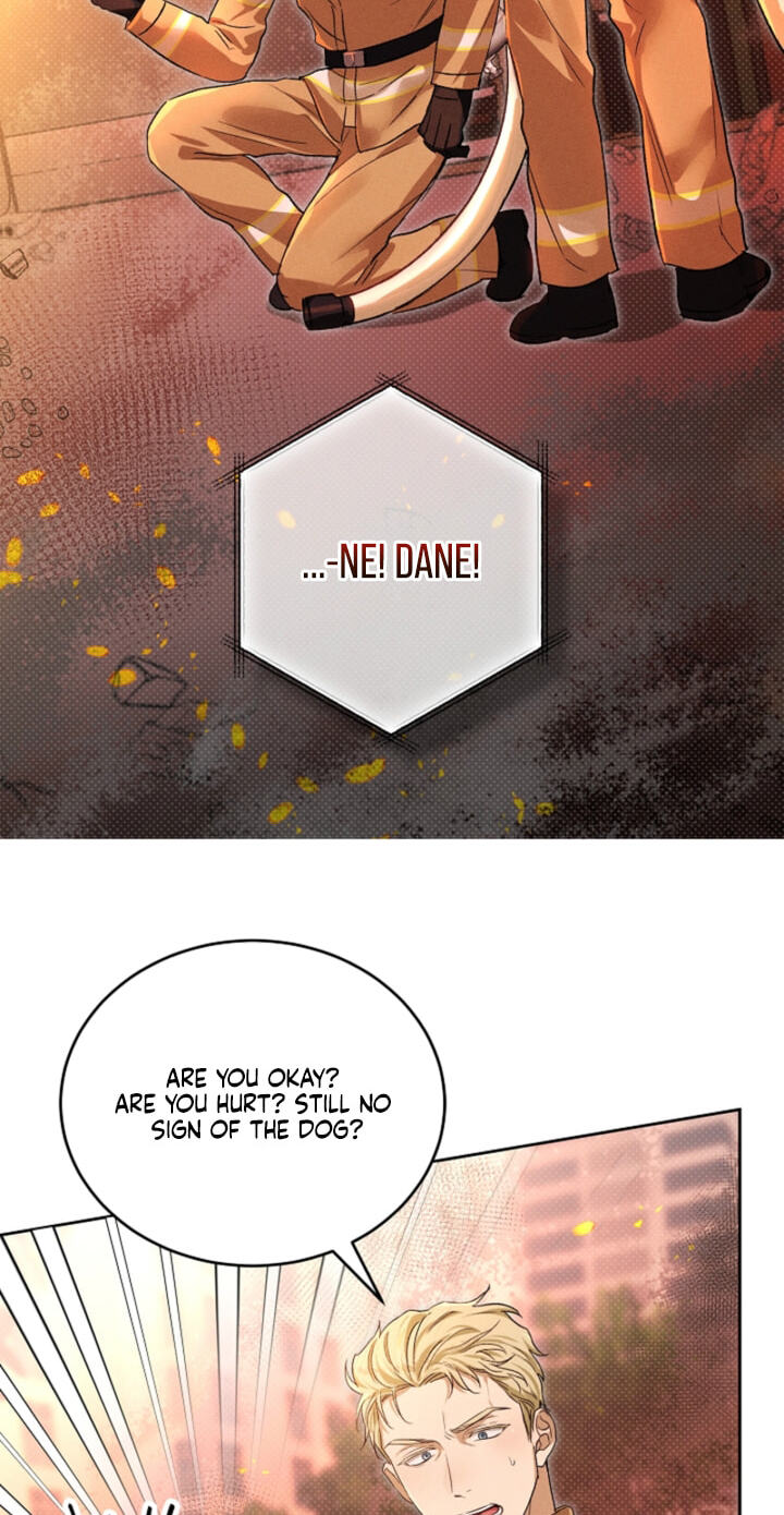 Read Desire Me if You Can chapter 13 image 34 on Lezhin
