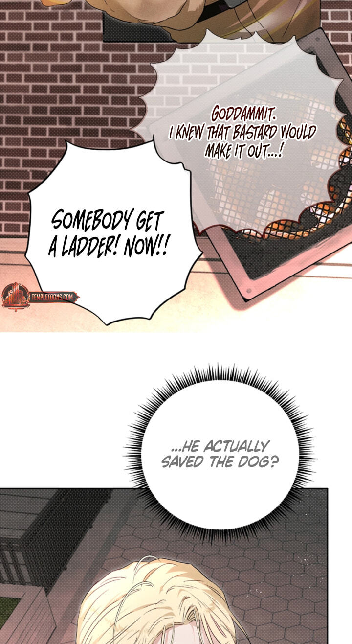 Read Desire Me if You Can chapter 13 image 70 on Lezhin