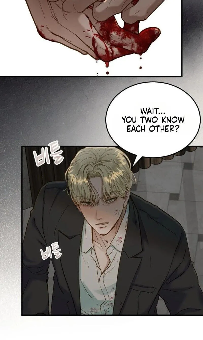 Despite the Risk Chapter 91 page 16 - 