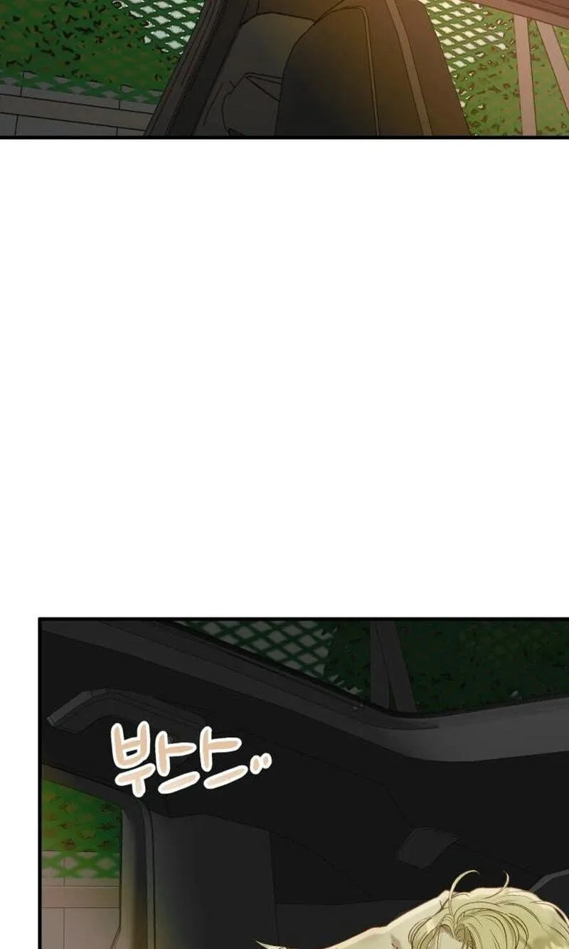Despite the Risk Chapter 91 page 49 - 