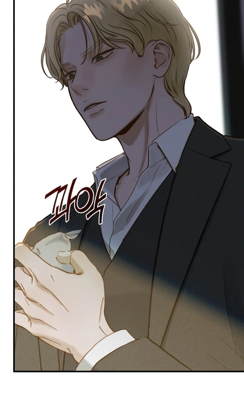 Despite the Risk Chapter 92 page 92 - 