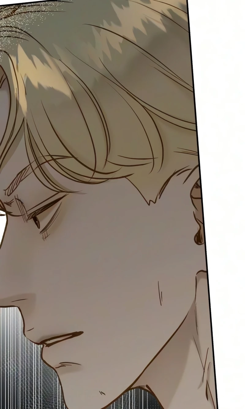 Despite the Risk Chapter 93 page 39 - 
