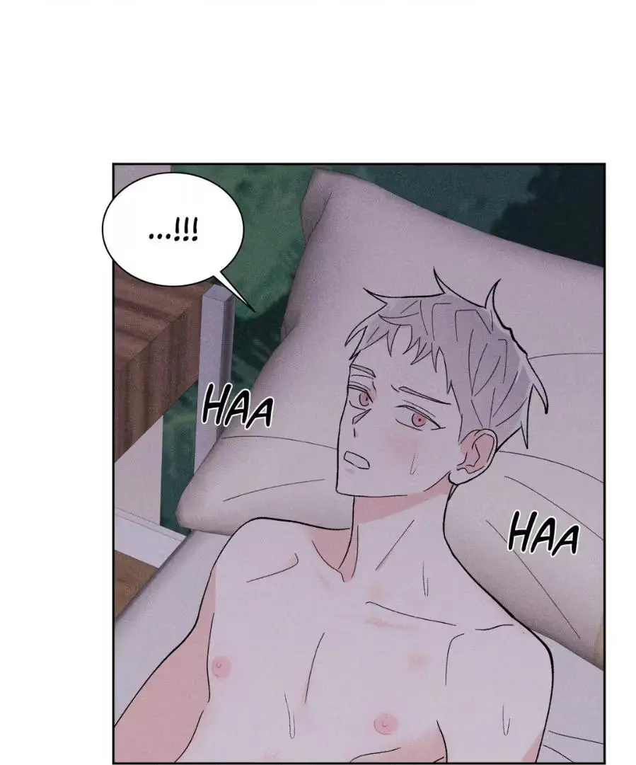 Destiny Next Door Chapter 12 page 22 - 
