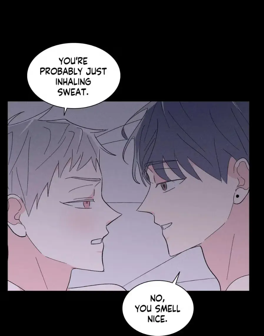 Destiny Next Door Chapter 20 page 41 - 