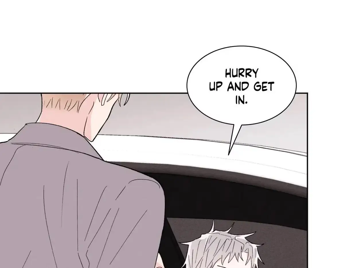 Destiny Next Door Chapter 29 page 154 - 
