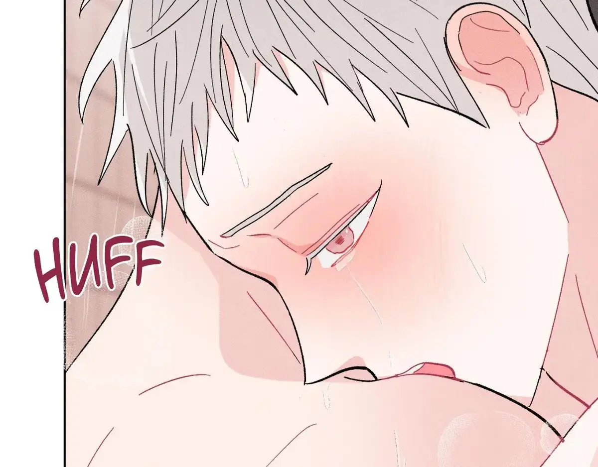 Destiny Next Door Chapter 39 page 169 - 