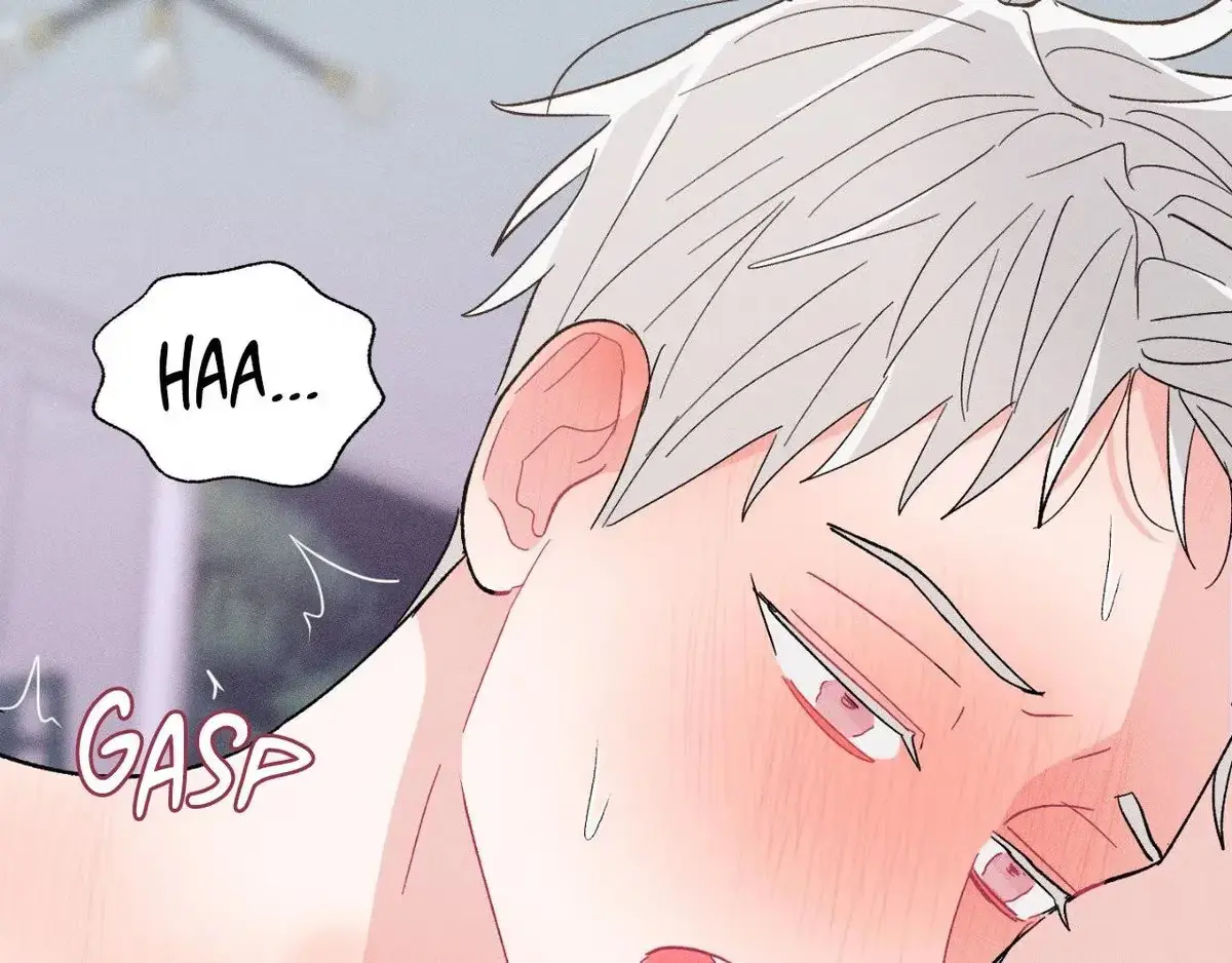 Destiny Next Door Chapter 40 page 162 - 