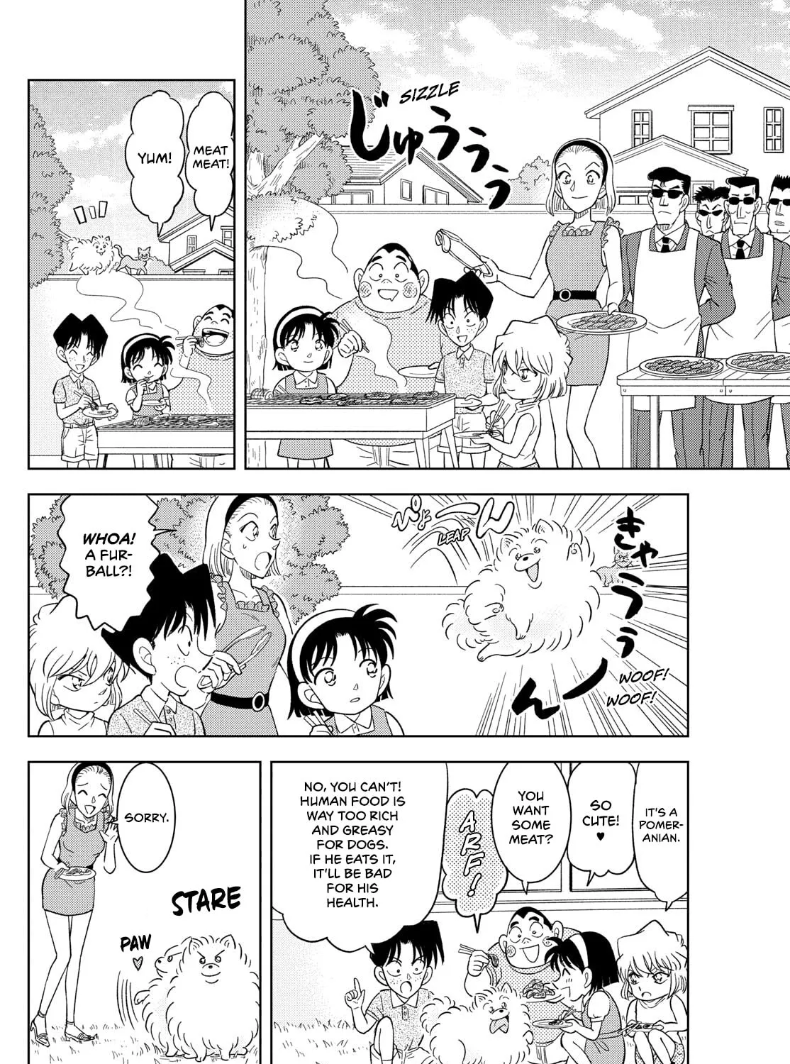 Detective Conan: Hanzawa the Criminal Chapter 55 page 15 - 