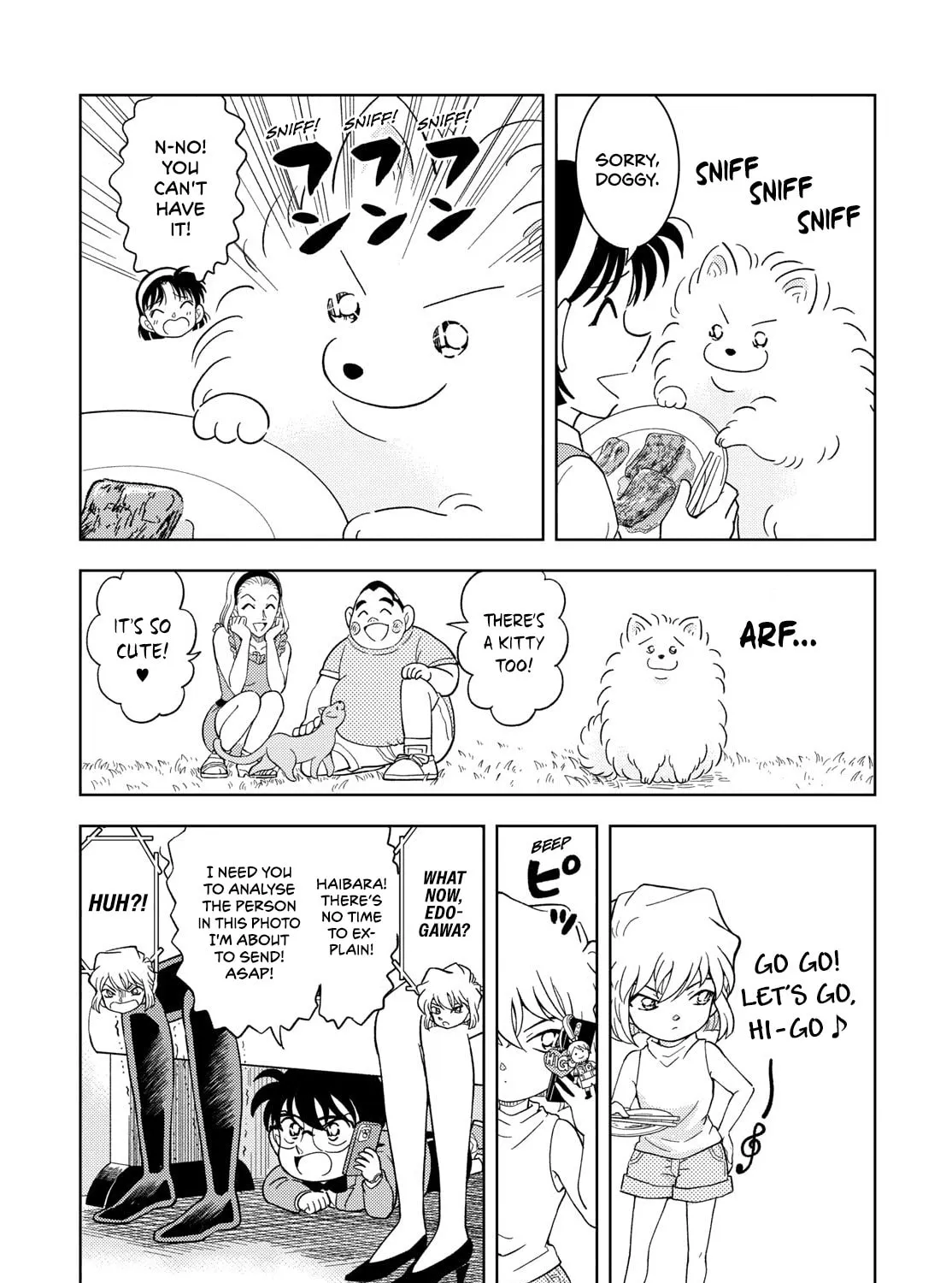 Detective Conan: Hanzawa the Criminal Chapter 55 page 17 - 