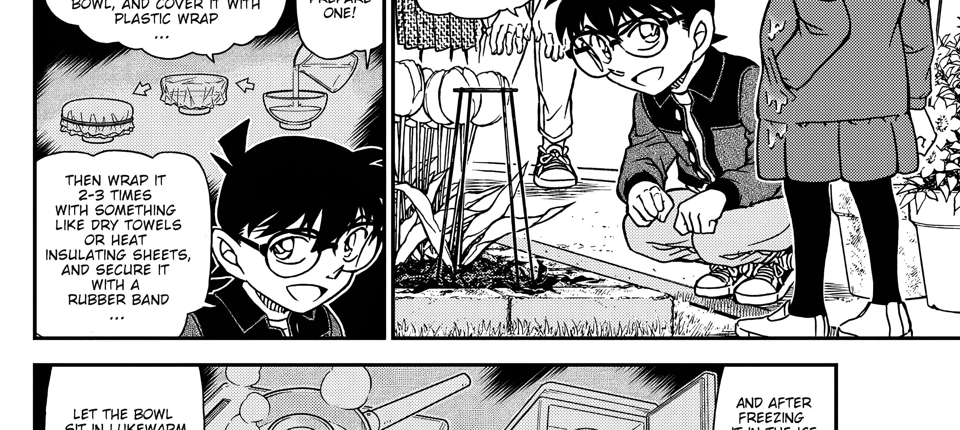 Read Detective Conan chapter 1112 image 24 on Lezhin