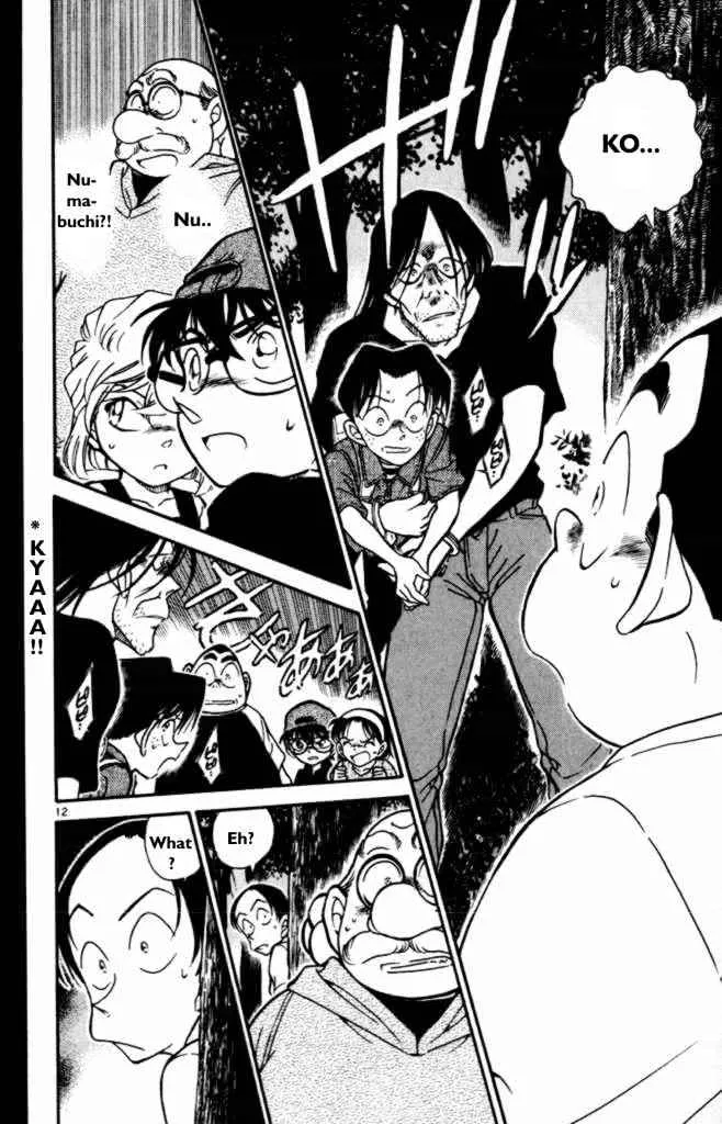 Read Detective Conan chapter 360 image 11 on Lezhin