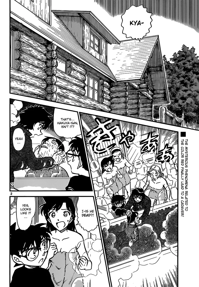 Read Detective Conan chapter 873 image 2 on Lezhin