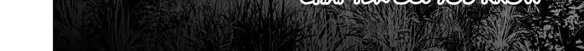 Devil Chi Chapter 80 page 4 - 